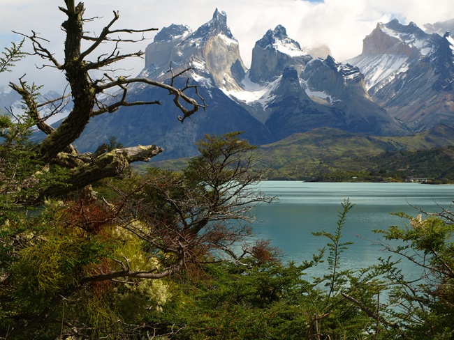 ../../Pictures/240110/006 Torres del Paine.JPG